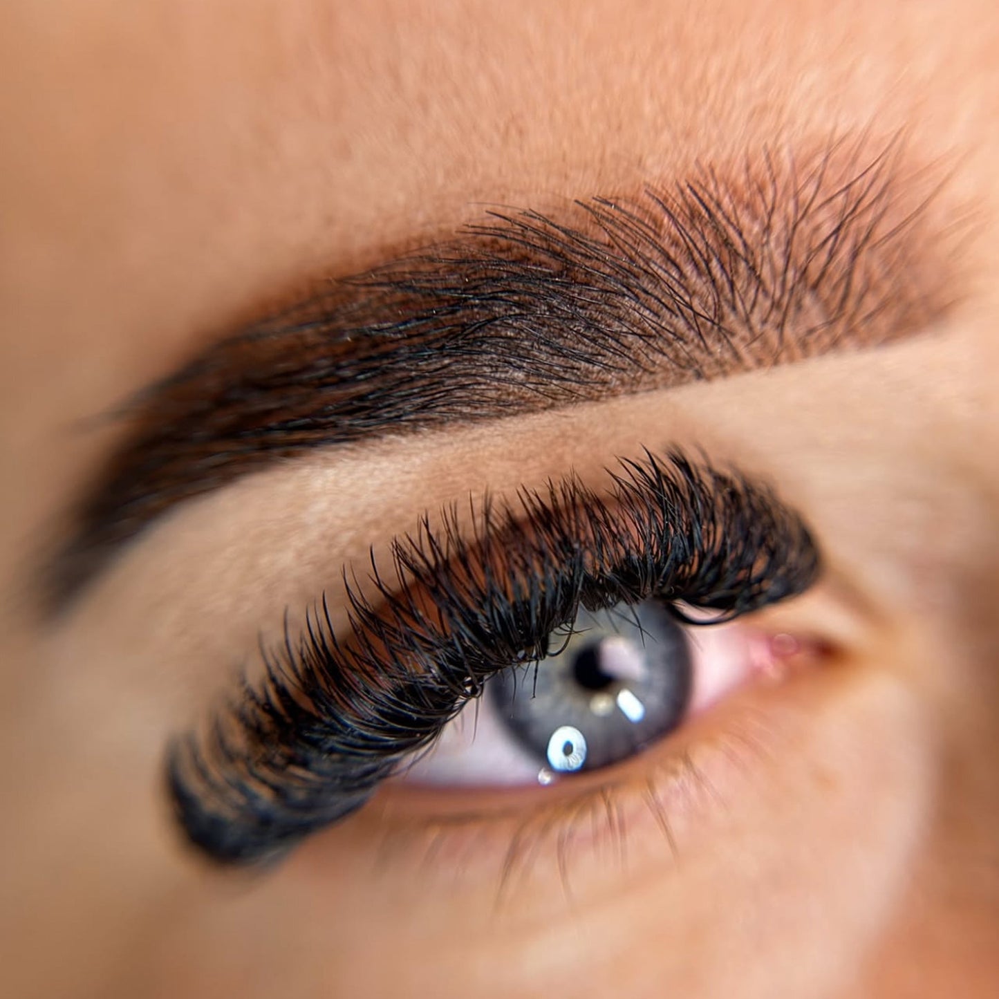 Fah's Colors - Eyebrow Collection
